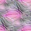 delicate